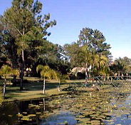 Twin Lakes Hotel - Accommodation Cairns