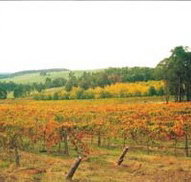 Byramgou Park - Accommodation Cairns