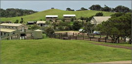 Cape Schanck VIC Accommodation Cairns