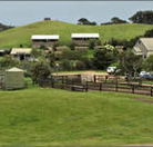 Ace Hi Riding Ranch - Accommodation Cairns
