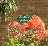 Lillypilly - Accommodation Cairns