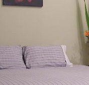 Stingo Hotel - Accommodation Cairns