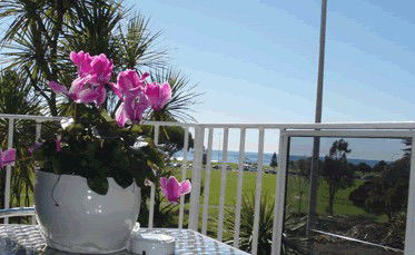 Beach Park Motor Inn - Accommodation Cairns 3