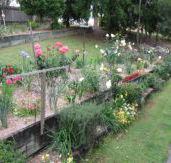 Kintail Homestay - Accommodation Cairns