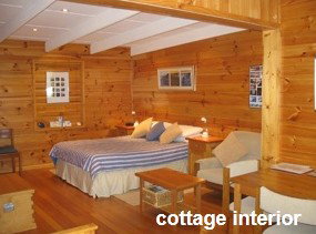 Anglesea Rivergums - Accommodation Cairns 0