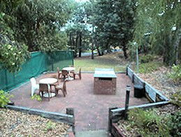 Collie Forest Motel - Accommodation Cairns 4