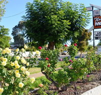 Narrogin Motel - Accommodation Cairns