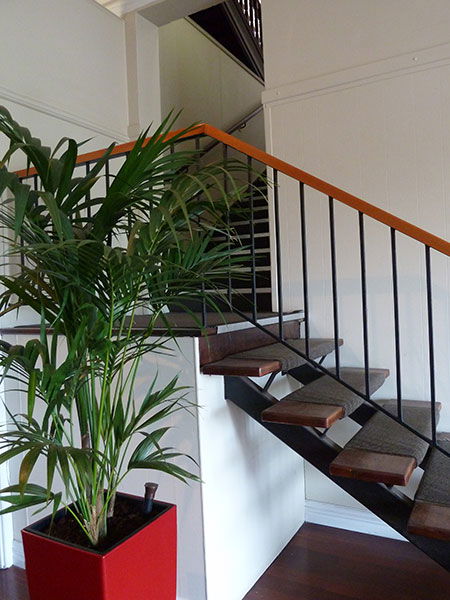 George On The Terrace - Accommodation Cairns 0