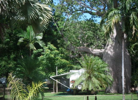 Kimberleyland Holiday Park - Accommodation Cairns 5