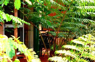 Mission Beach Rainforest Motel - Accommodation Cairns 3