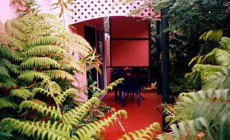 Mission Beach Rainforest Motel - Accommodation Cairns 4