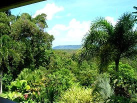 Daintree Manor - Accommodation Cairns 3