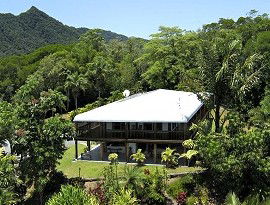 Daintree Manor - Accommodation Cairns 4