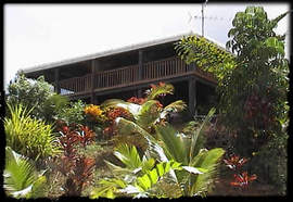 Daintree Manor - Accommodation Cairns 5