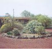 Beaufort Motel - Accommodation Cairns