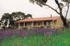 Armagh SA Accommodation Cairns
