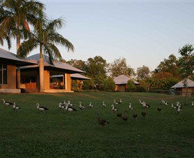 Jingili NT Accommodation Cairns