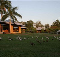 Feathers Sanctuary - Accommodation Cairns