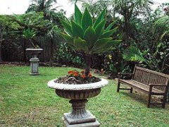 Bangalow Retreat - Accommodation Cairns 0