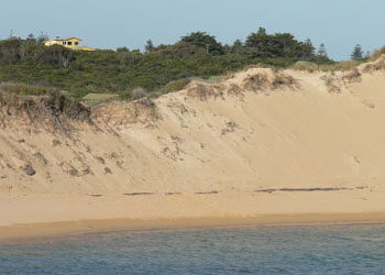 Ark Bed And Breakfast - Accommodation Cairns 1