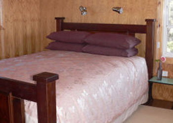 Ark Bed And Breakfast - Accommodation Cairns 4