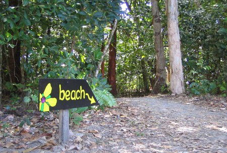 Cape Tribulation Camping - Accommodation Cairns 2