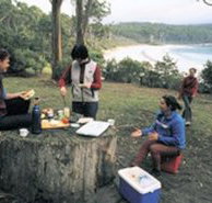 Fortescue Bay Camping Ground - Accommodation Cairns