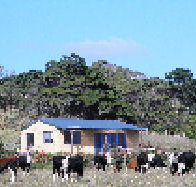 Marrawah Beach House - Accommodation Cairns