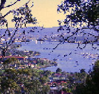 Possums Bed  Breakfast - Accommodation Cairns