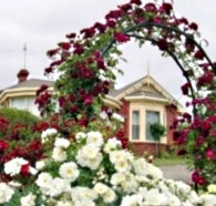 Golden Embers Apartments and B and B - Accommodation Cairns