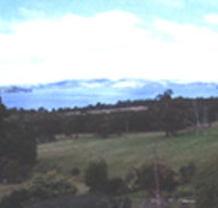 Waterview Gardens - Accommodation Cairns