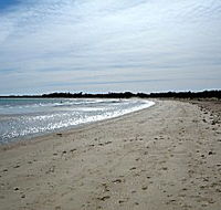Greens Beach Caravan Park - Accommodation Cairns