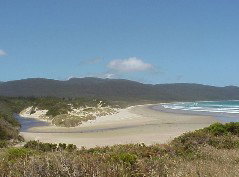 Cloudy Bay Cabin - Accommodation Cairns 1