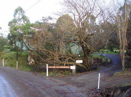 Eaglehawk Neck Backpackers - Accommodation Cairns 1