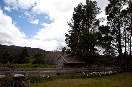 Gowrie Park Wilderness Village - Accommodation Cairns 5