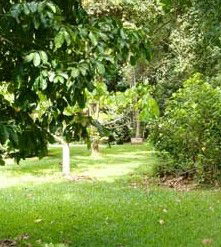 Julatten QLD Accommodation Cairns