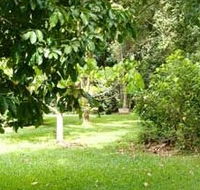 Kingfisher Park Birdwatchers Lodge - Accommodation Cairns
