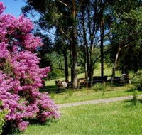 Figlea Cottages - Accommodation Cairns