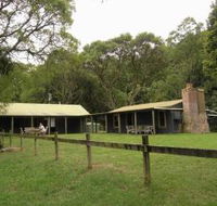 Tree Fern Lodge - Accommodation Cairns