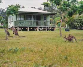 Berringer Lake Holiday Cottages - Accommodation Cairns 0