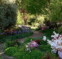 Wombat Hill Bed and Breakfast - Accommodation Cairns