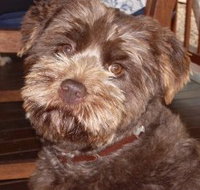 Lagoon Pocket Bed and Breakfast - Accommodation Cairns