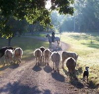 Brooloo Park - Accommodation Cairns