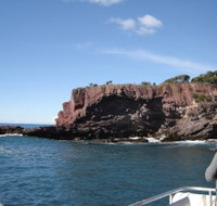 Art on Hart - Accommodation Cairns