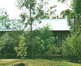 Wonga - Accommodation Cairns 0