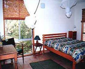 Wonga - Accommodation Cairns 1