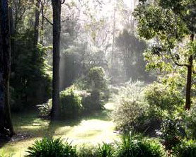 The Bawley Bed And Breakfast - Accommodation Cairns 2