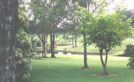Ferngrove Estate - Accommodation Cairns 1