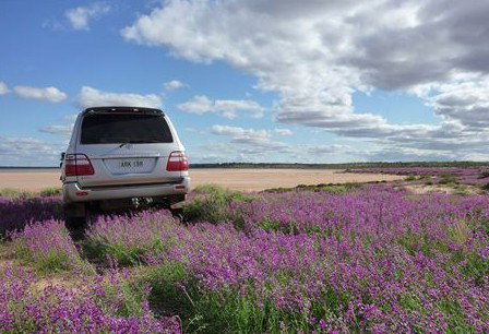 Pincally Station - Accommodation Cairns 1