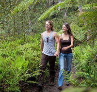 Blackheath Glen Tourist Park - Accommodation Cairns